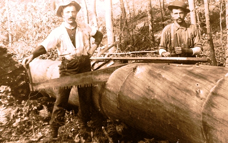 Boscaioli_Auronzani_negli_U.S.A.web