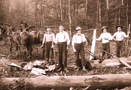 Boscaioli_Auronzani_nelle_foreste_degli_U.S.A.